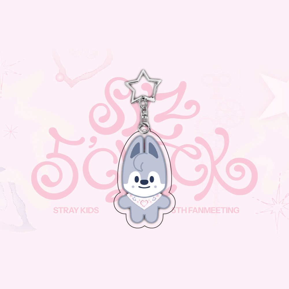 Kpop Idol Stray Kids Chaveiro Bonito Estilo Desenho Animado Chaveiros Acrílicos Transparentes