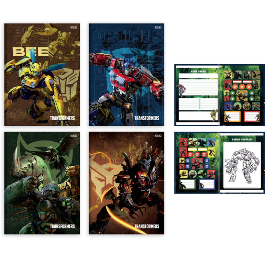 CADERNO BROCHURA 1/1 CD AD 80F  TRANSFORM   SAO DOMINGOS   10513