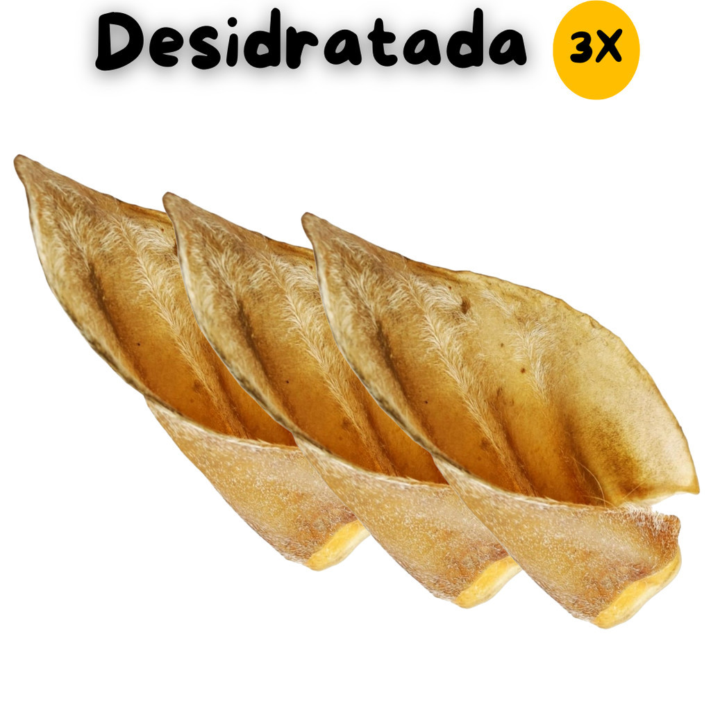 Kit 3 Petisco Natural Orelha Bovina Desidratada Mordedor Cão Cachorro PET Osso