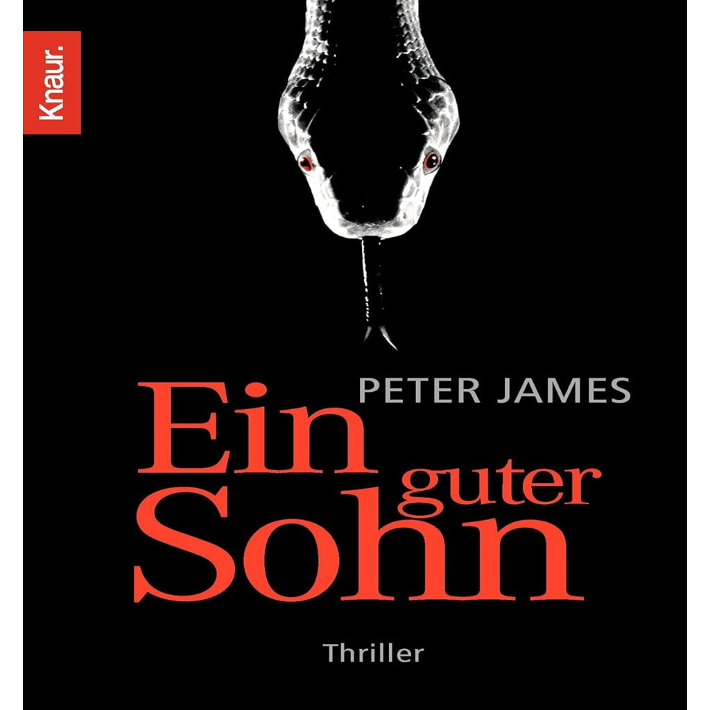 Ein guter Sohn (Edição de bolso) autor Peter James