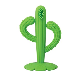 Massageador Mordedor de Gengiva Cacto Silicone Buba em Oferta na Shopee