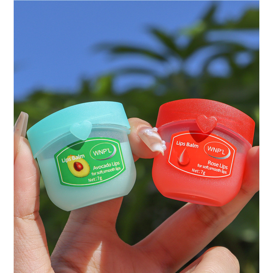 Novo Bálsamo Hidratante 4/6/8pcs Conjunto De Baton Para Os Lábios Maquiagem Natural Base Vegetal Anti-Rachaduras Cuidados Com A Pele — imagem 2 de 2
