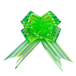100 LAÇOS FACIL P/ PRESENTE ORGANZA HOLOGRÁFICO VERDE GRANDE 3 CM x 47 CM (Ex) em Oferta na Shopee