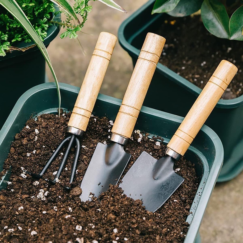 Kit Mini Ferramentas P/ Jardinagem 2 Pás 1 Ancinho Plantas Horta Em Casa Presente Dia Das Mães