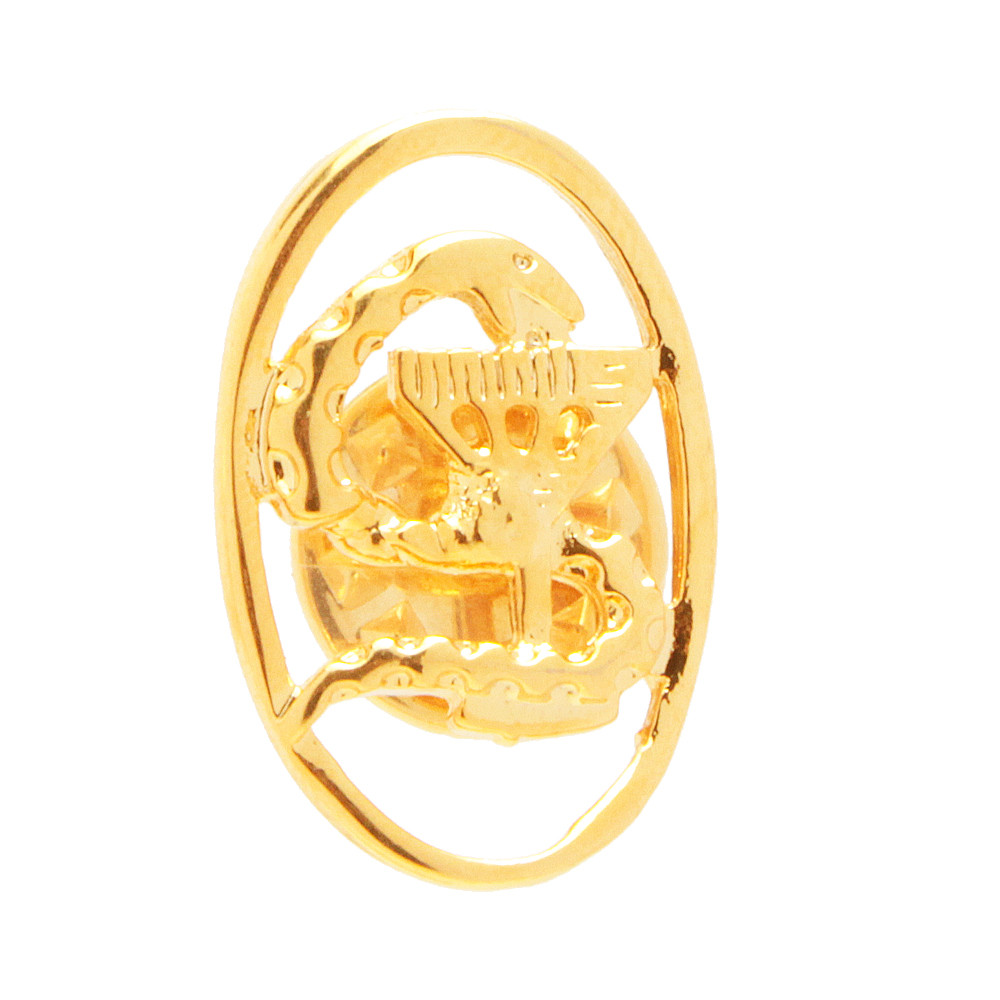 Broche Pin Farmácia Farmacêutica Folheado A Ouro 18k em Oferta na Shopee