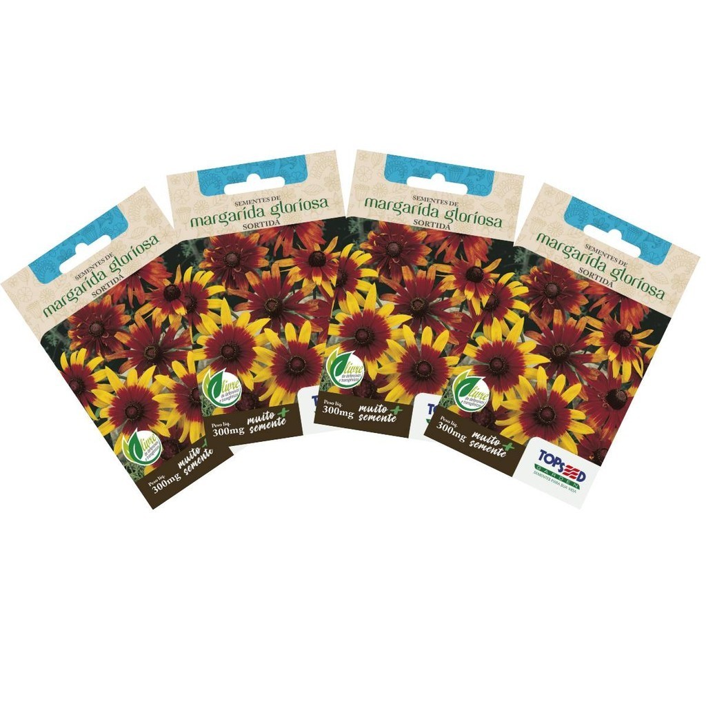 4X Sementes de Margarida Gloriosa (Sortida) TOPSEED
