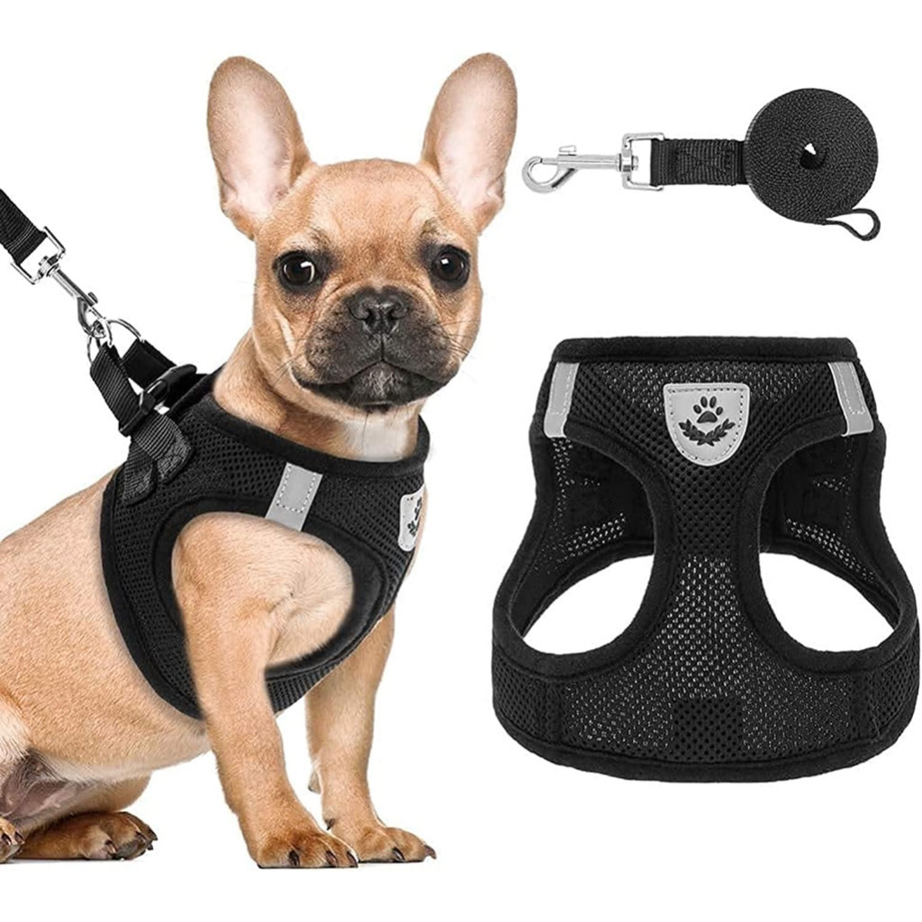 Guia Coleira de Malha Flexível com Colete Peitoral Ajustável para Cão Cachorro Gato Animai...