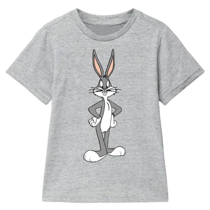 Camiseta Masculina Infantil Estampada Pernalonga Desenho Looney Blusa Juvenil