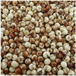 Semente De Açaí Natural Rajado Claro 8mm 100 Peças - Artesanato Bijuterias Pulseiras