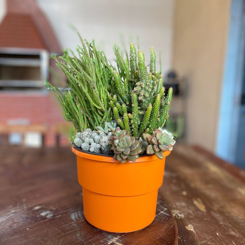 Vaso Plantas Autoirrigável Antidengue Flores Hortas Vaso c Cachepô Auto Irrigável - Laranja