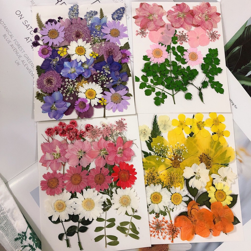Kit 90 Flores Secas Prensadas Naturais para Resina – Artesanato DIY, Jóias, Scrapbook e Decoração de Unhas