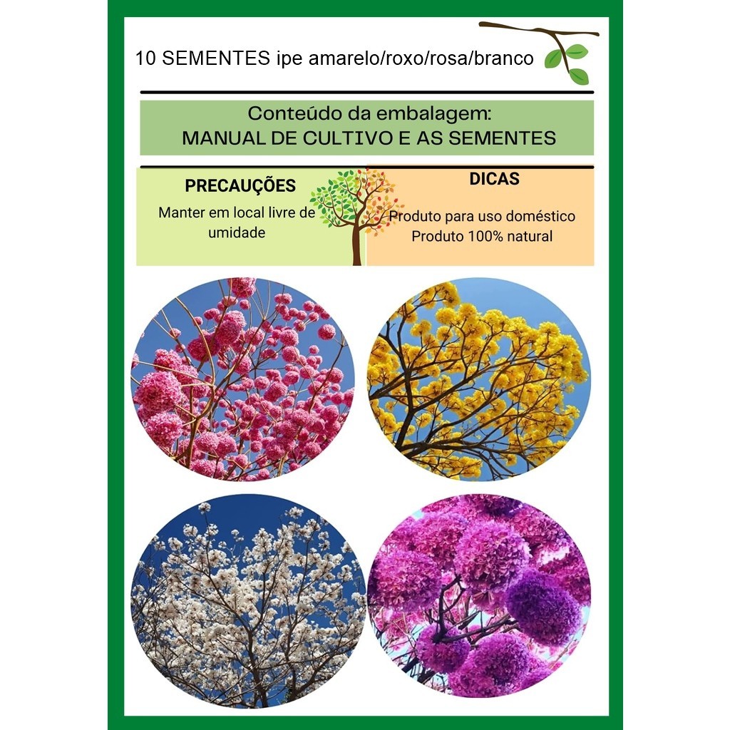 ipe amarelo/roxo/rosa/branco 10 sementes