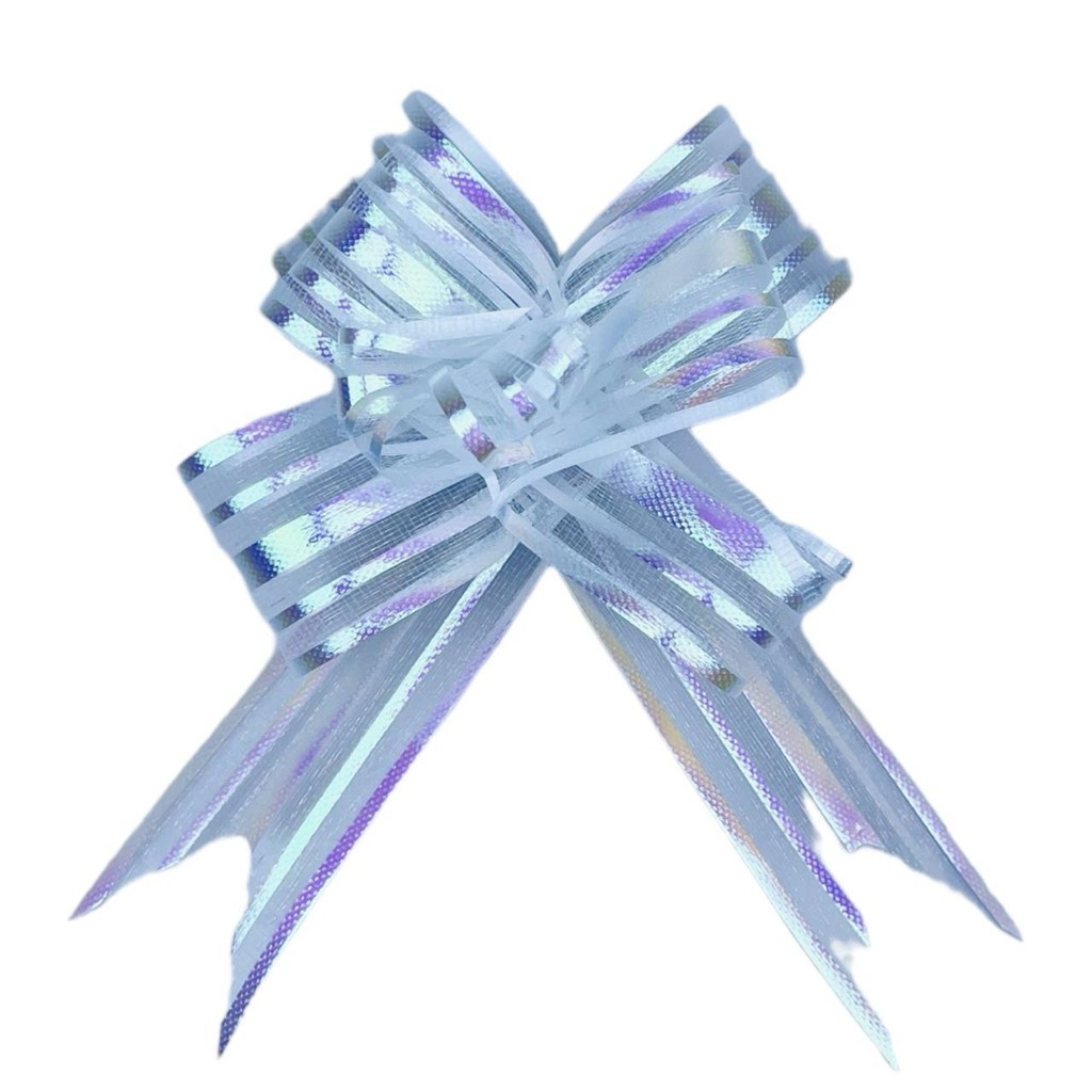 100 LAÇOS FÁCIL GRANDE PREMIUM ORGANZA HOLOGRÁFICO BRANCO 3 cm x 47 cm (Ex) em Oferta na Shopee