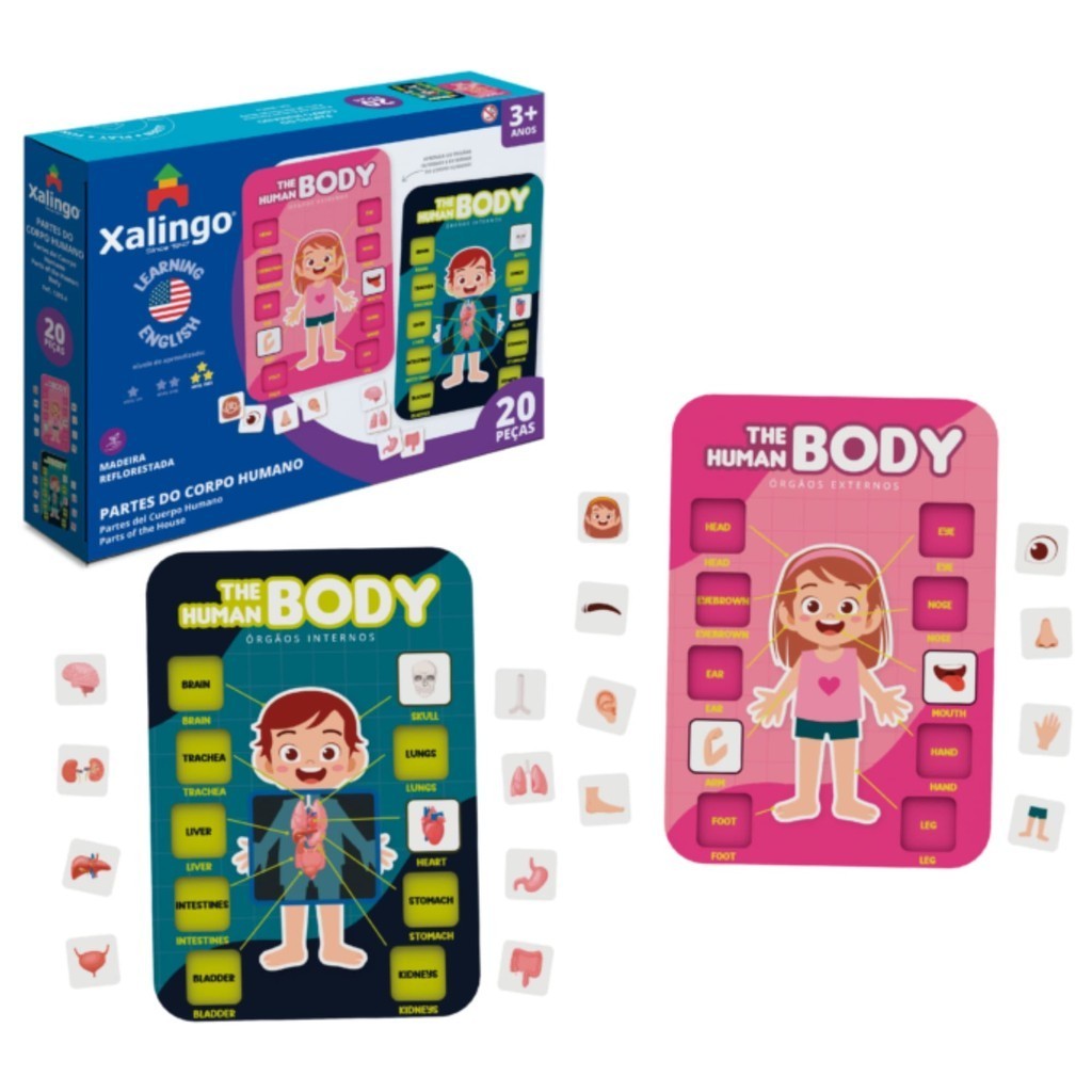 Brinquedo Partes do Corpo Humano - Aprendendo Inglês - 20 peças - Xalingo 12854 em Oferta na Shopee