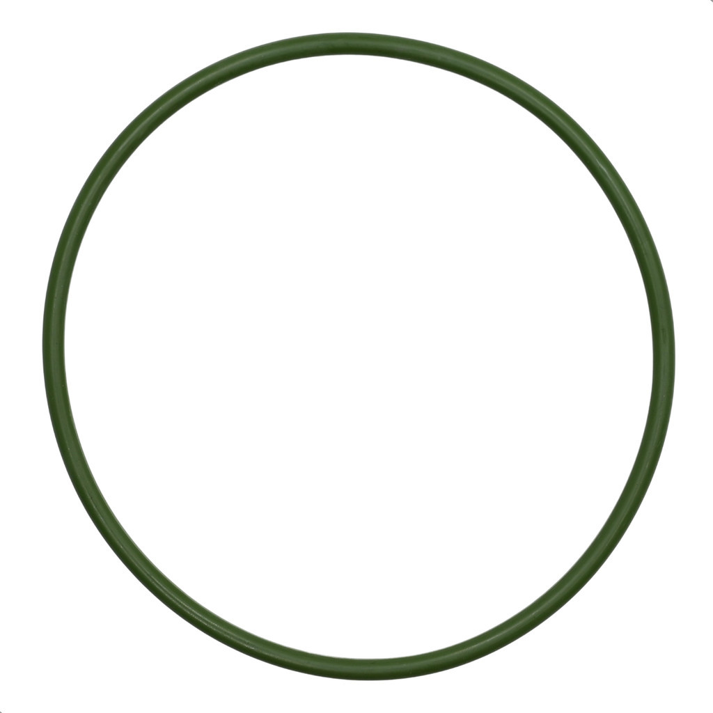 Guarnição Anel Bomba Combustivel Sentra Tiida Livina 16v Flex