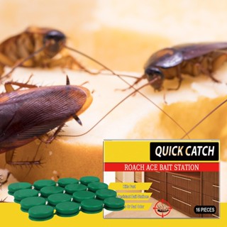 Isca De Barata Gel 16X Repelente De Baratas Eficaz Armadilhas Para Internas Seguras Pequenas Iscas Repelentes em Oferta na Shopee