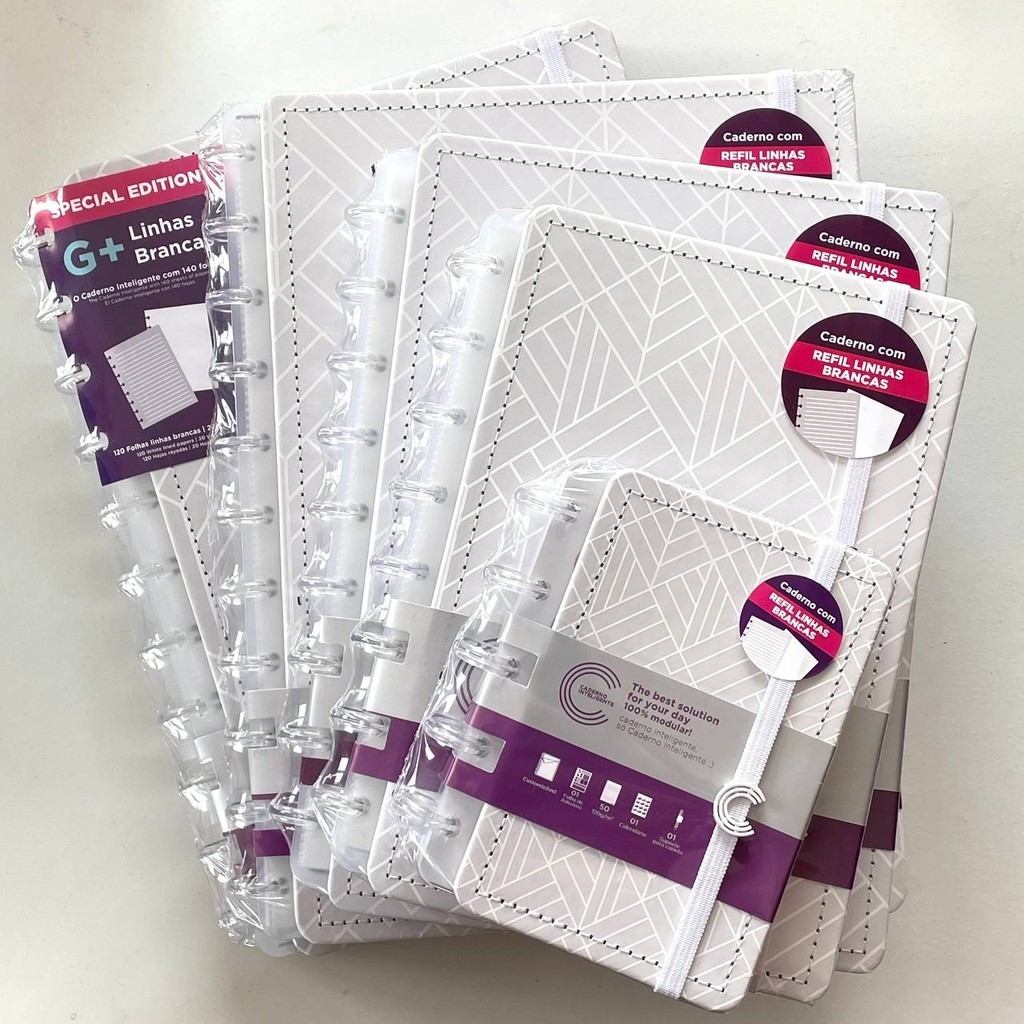 Caderno Inteligente Ice Grey | Tamanho Inteligine, A5, Médio, Grande ou G+ em Oferta na Shopee