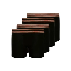 Kit com 4 Cuecas Infantil Boxer Lupinho 141-003