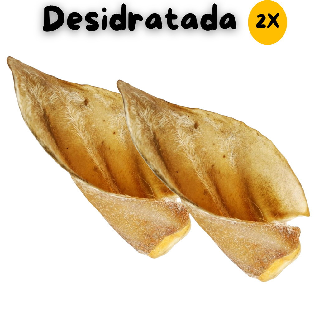 Kit 2 Petisco Natural Orelha Bovina Desidratada Mordedor Cão Cachorro PET Osso