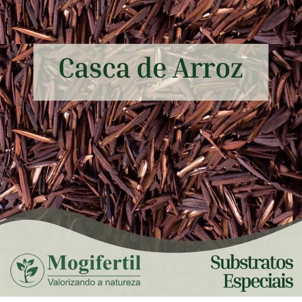 CASCA DE ARROZ CARBONIZADA