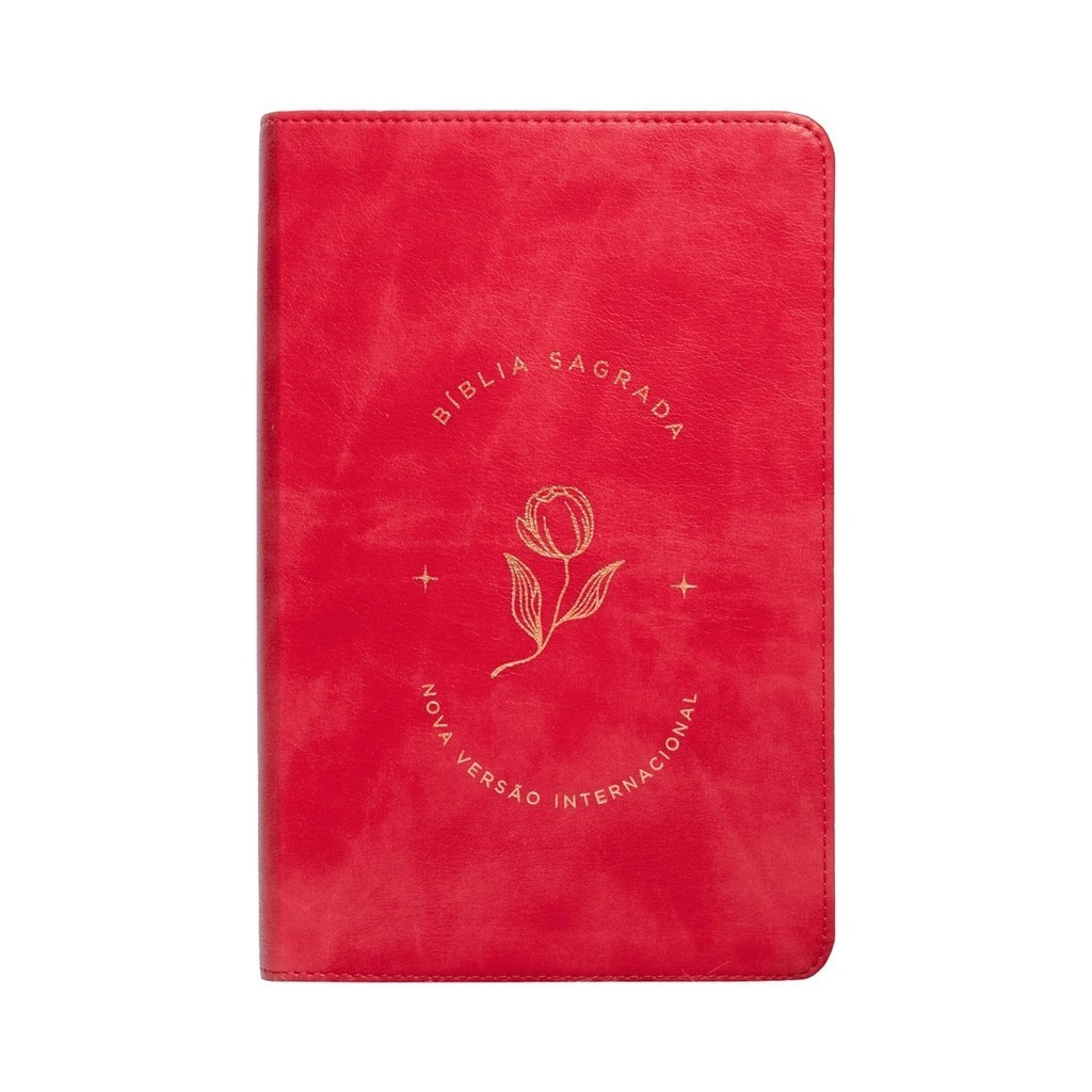 Bíblia Sagrada NVI | Letra Grande | Leitura Perfeita | Couro Soft Rosado em Oferta na Shopee
