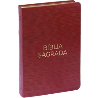 Bíblia Sagrada | Nvt | Letra Gigante | Capa Luxo Vermelha em Oferta na Shopee