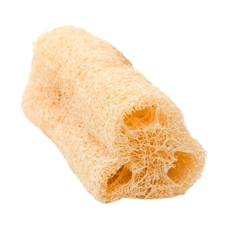 Bucha Vegetal Pedaços Sveda Cuidados