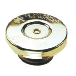 Tampa Radiador Gm S10 1995 a 2012 - 111714 - 24017