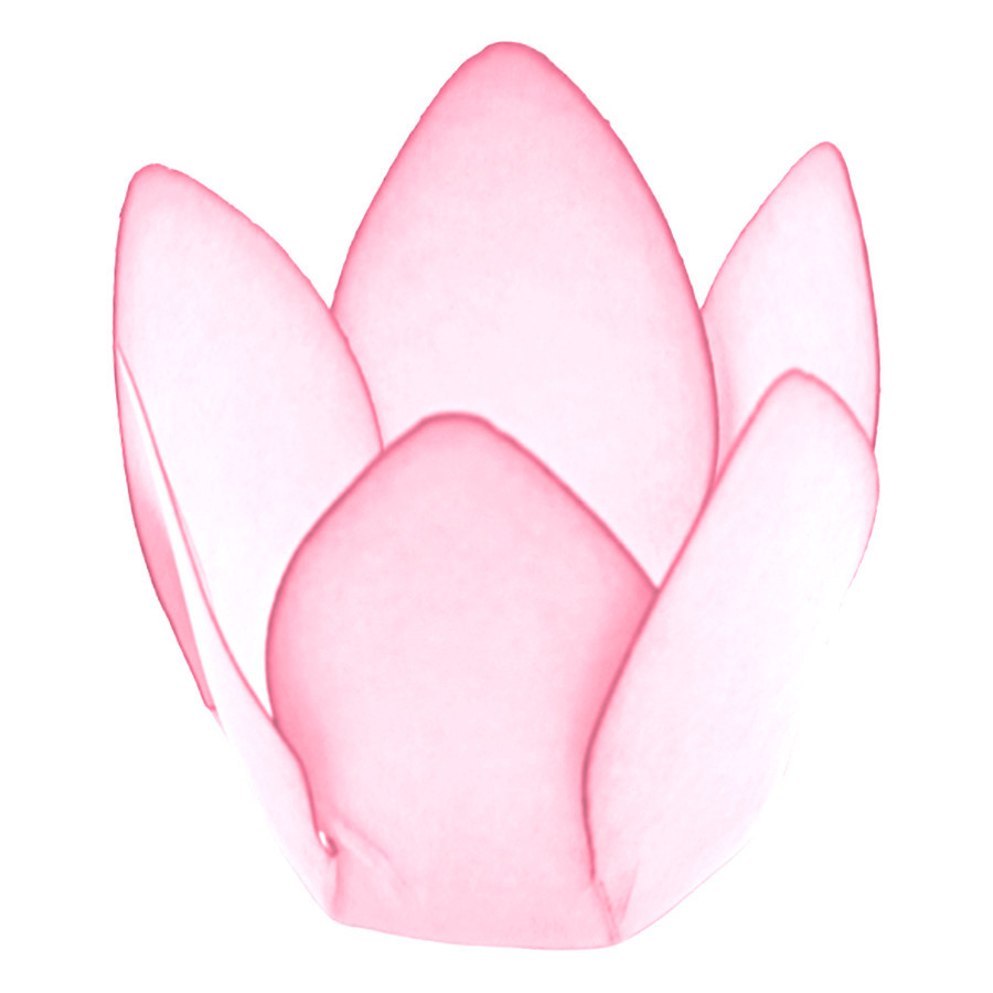 Forminha Para Doces Finos - Monaco - Rosa Bebê - 50 unidades - Decora Doces - Rizzo