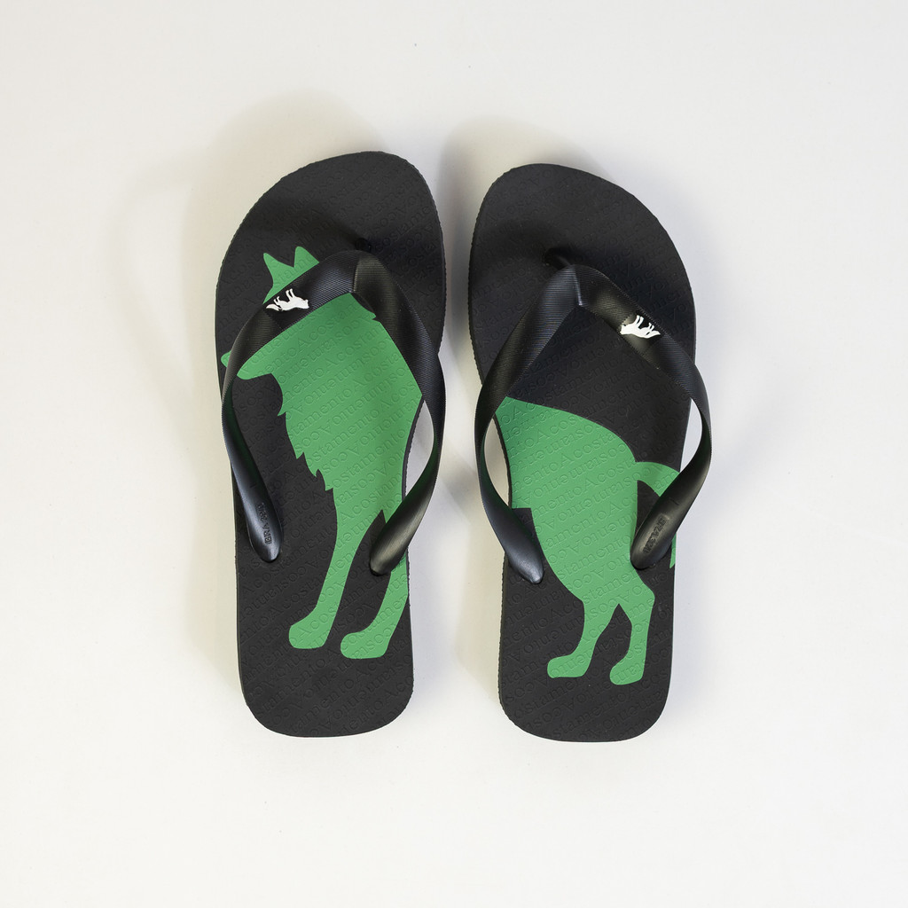 Chinelo Masculino Moda Casual Praia Wolf Color Verde