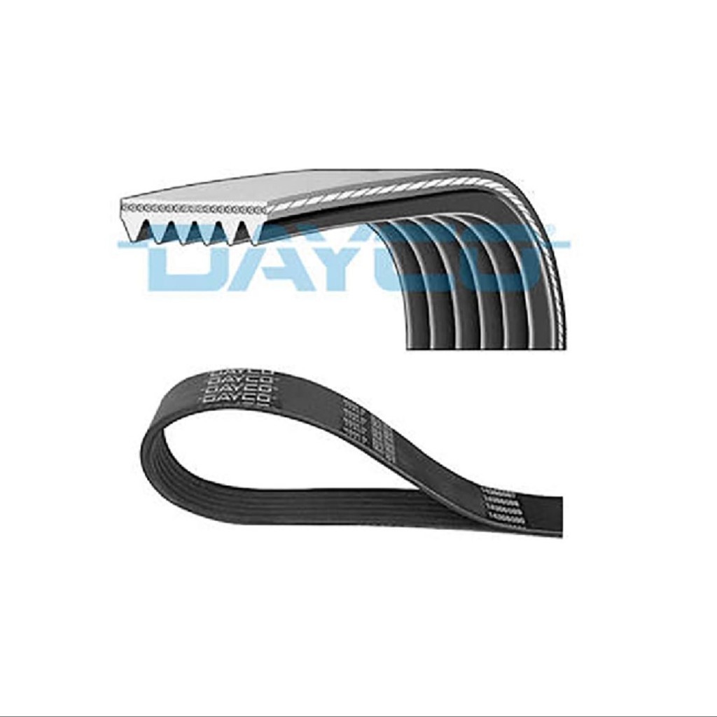 CORREIA POLY V ALT/ GIR / ACD 6PK2870 24581174