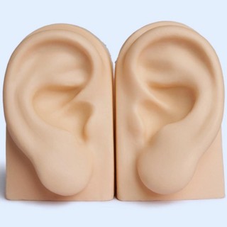 Expositor de Silicone  par de Orelhas Cor Nude  Ultra Realista Modelo Treinar Perfuraçao