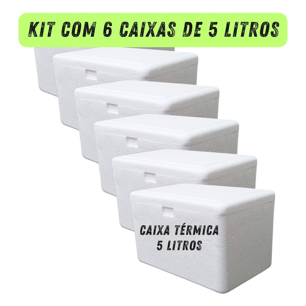 Kit com 6 Caixas Térmicas de Isopor 5 Litros 28,60 x 18,50 x 17,60cm Medicamentos Alimentos Bebidas