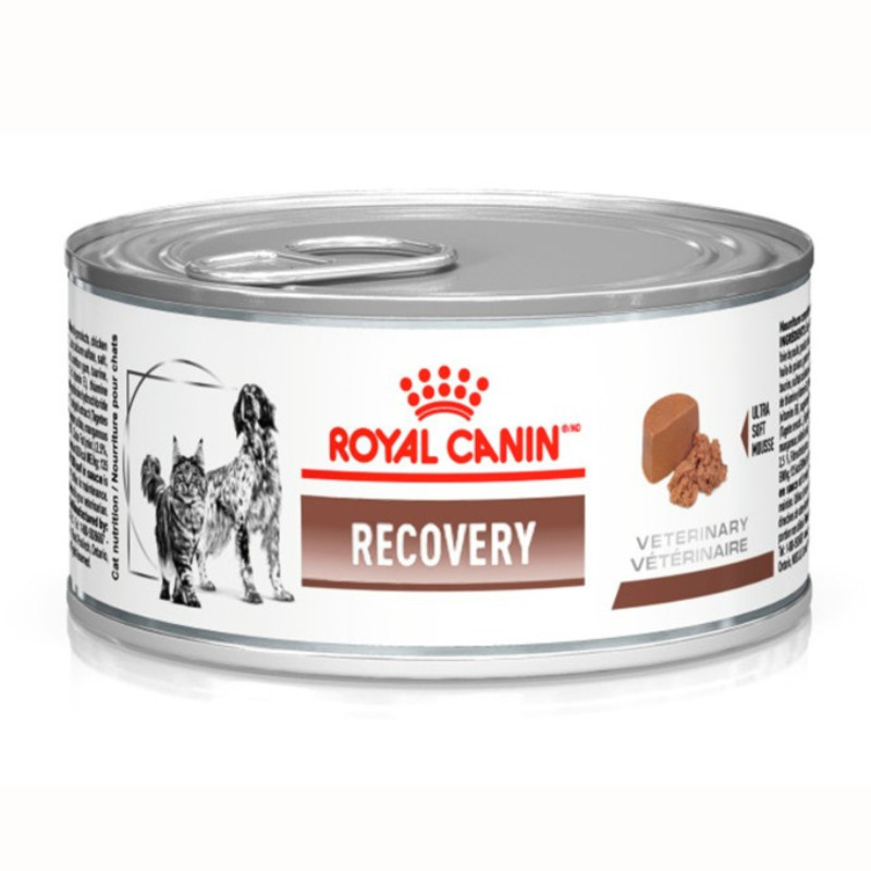 Ração Úmida Lata Royal Canin Dieta Veterinária Recovery para Cães e Gatos Adultos 195g - Pets