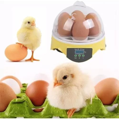Mini Incubadora Chocadeira Ovos Galinha Pato Semi Automática
