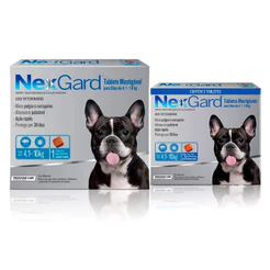 NexGard Antipulgas e Carrapatos para Cães de 4,1 a 10kg