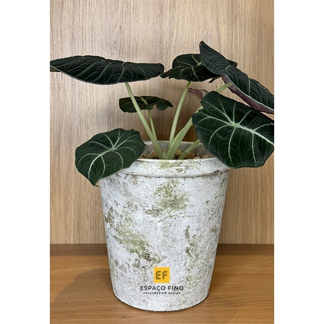 Vaso Adorno Decorativo Cimento Médio  A17 x D15 cm