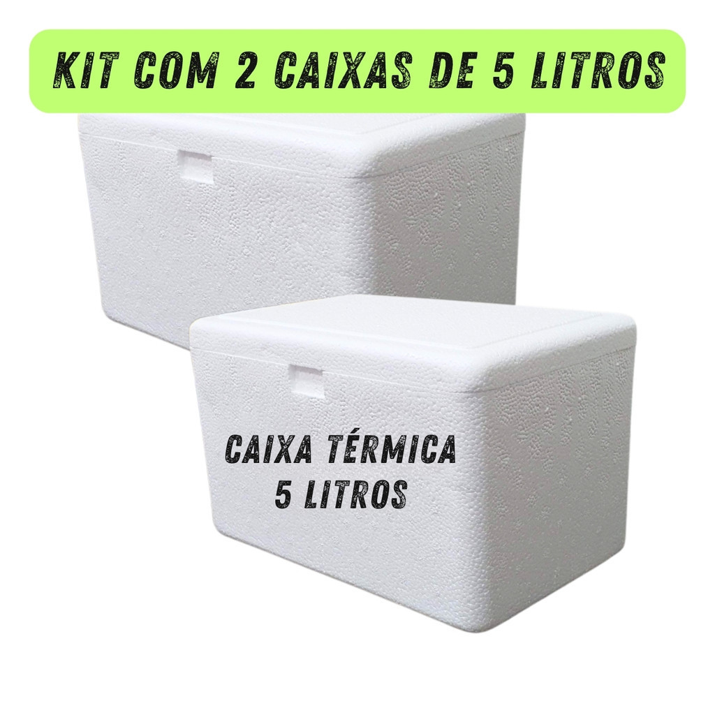 Kit com 2 Caixas Térmicas de Isopor 5 Litros 28,60 x 18,50 x 17,60cm Medicamentos Alimentos Bebidas