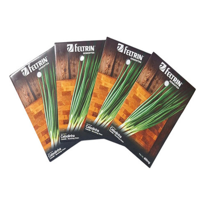 Sementes De Cebolinha Evergreen Kit Com 4 Pacotes