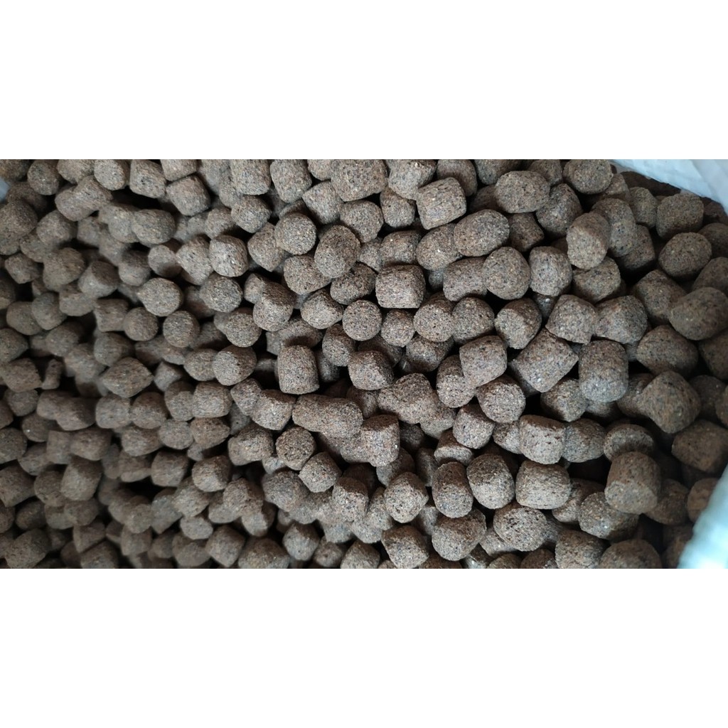 Ração Para Peixes Carnívoros, Pirarucu, Oscar E Outros - 1kg