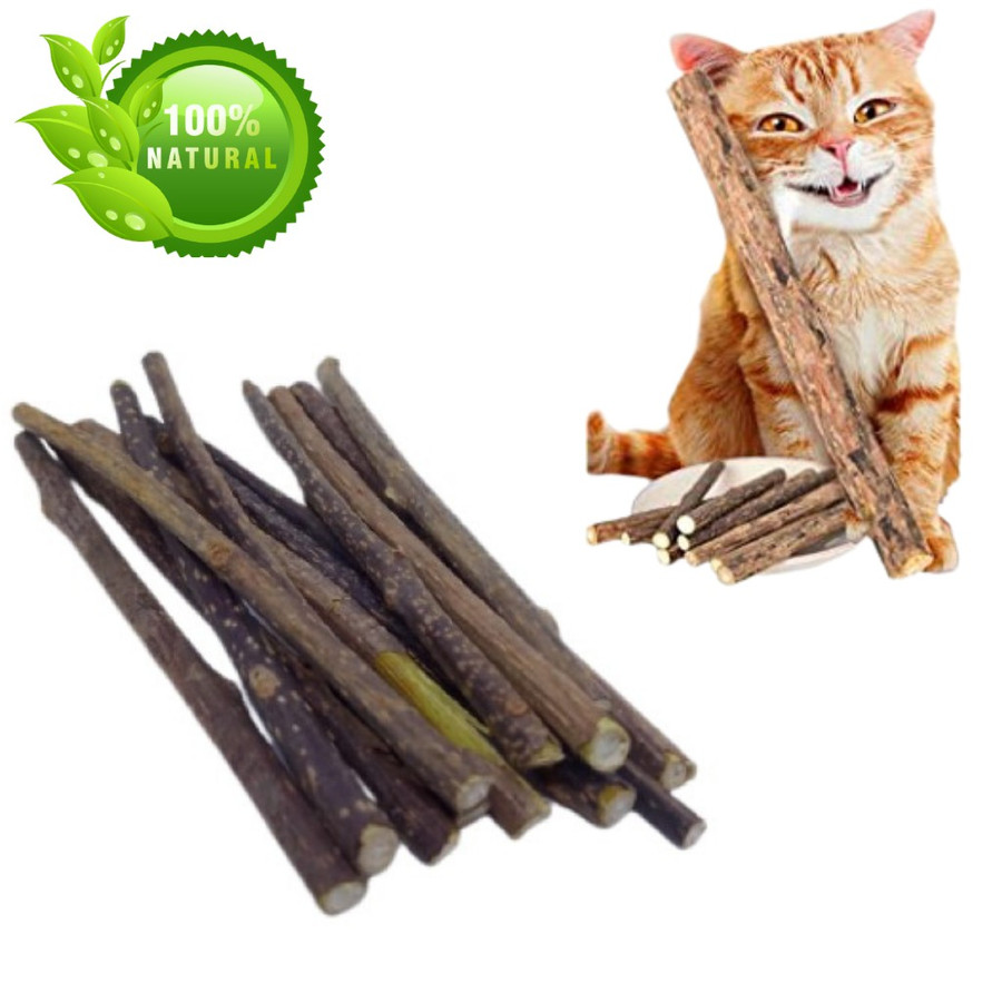 Kit 10 Unidades Matatabi Graveto Varas Catnip Limpa Dentes