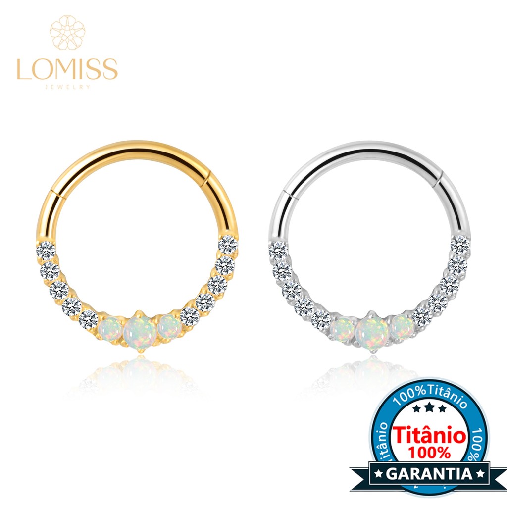 Piercing Argola Titânio Helix Septo Rook Conch Segmento Articulado Zircônia Cravejada Frontal em Oferta na Shopee