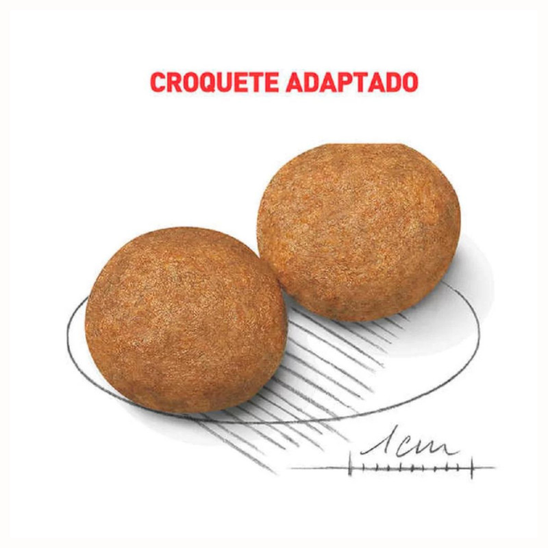 Detalhes do Ração Royal Canin Medium Adult Cães Adultos Raças Médias 2,5 kg