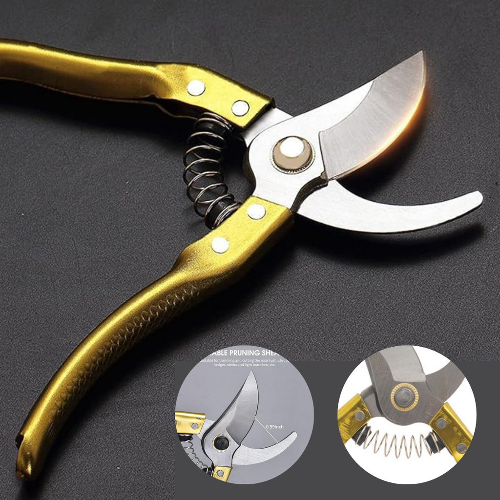 Tesoura de Poda para picotar Grande de 8 polegadas Super Resistente Amolado com mola Profissional Promoção