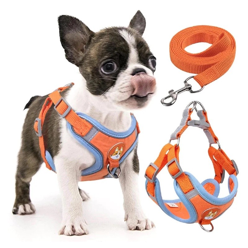 Coleira Peitoral Cachorro Filhote ou Fêmea, Coleira Tipo Colete Para Pet Pequenos E Médios em Oferta na Shopee