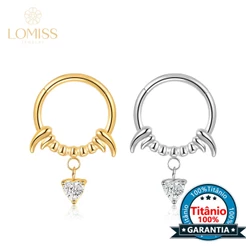 Piercing Argola Titânio Helix Conch Septo Rook Segmento Articulado Presas Com Pingente De Coração