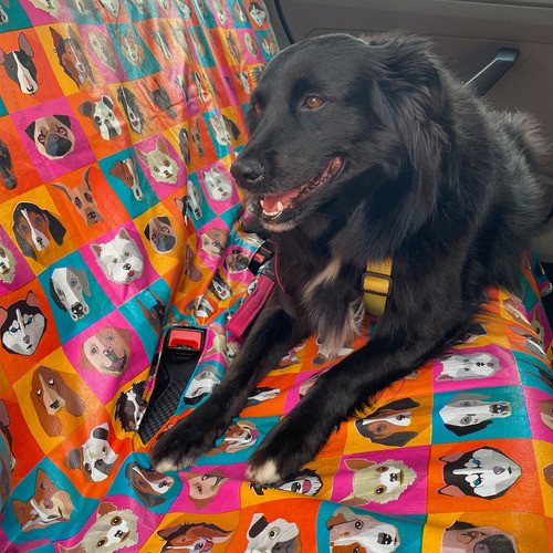 Capa Protetora Pet Banco Traseiro Impermeável Cahorro e Gato Estampada 2 Alças