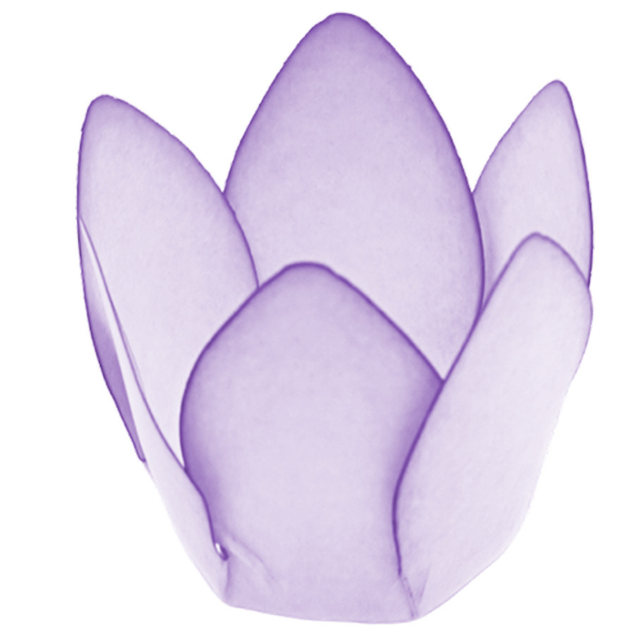 Forminha Para Doces Finos - Monaco - Lilás/Borda - 50 unidades - Decora Doces - Rizzo em Oferta na Shopee