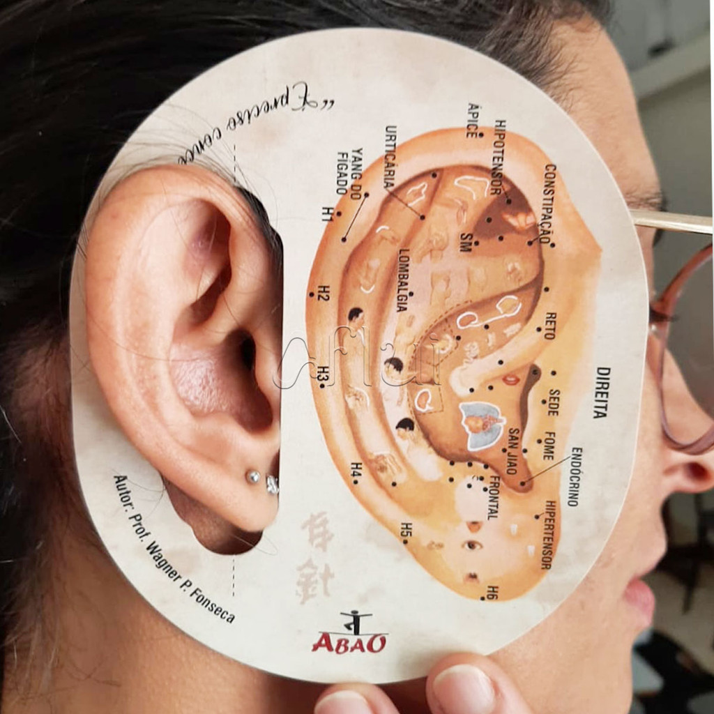 Gabarito para Prática e Atendimento de Acupuntura Auricular Wagner em Oferta na Shopee
