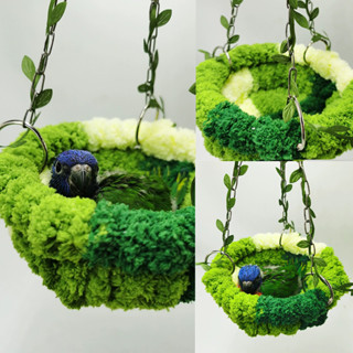 Ninho De Primavera E Outono Pássaros Papagaio Pele De Tigre Quente Peônia Xuanfeng Pendurar Suprimentos Para De Rede em Oferta na Shopee